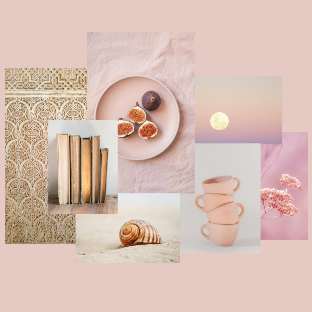 Bienvenue